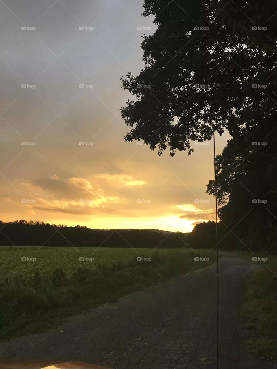 Sun setting