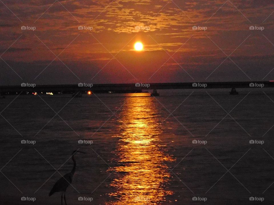 October's full moon, the hunter's moon, also known as Travel Moon, the Dying Grass Moon, and the Blood Moon was taken as it rose over the bridge where you can’t see bright, colorful lights from moving vehicles