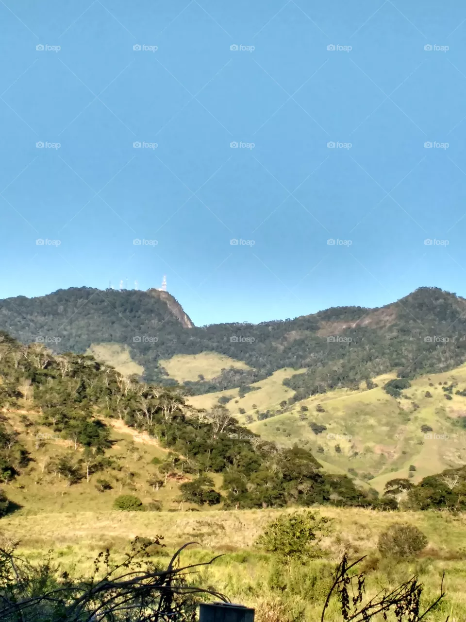lindo