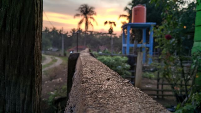 A fence that borders the yard and road in a small, warm village.