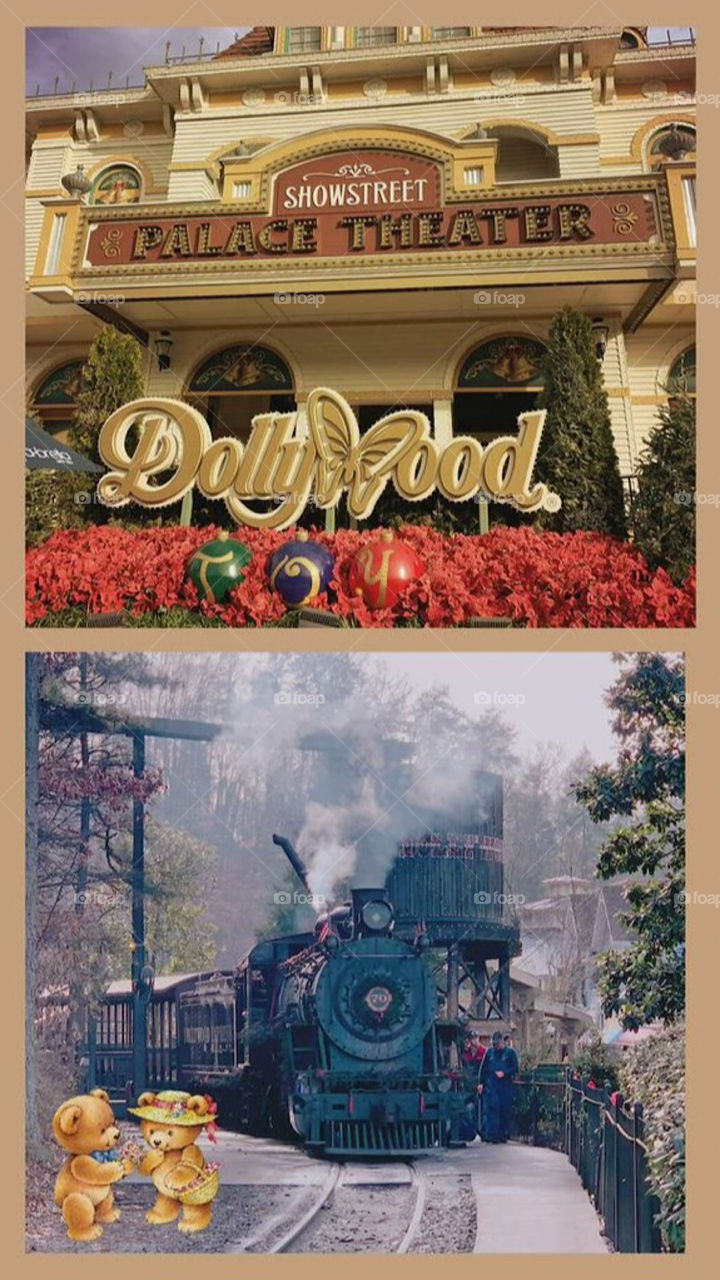 Dollywood 🦋