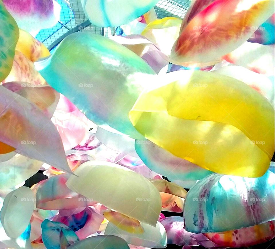 paper jellies