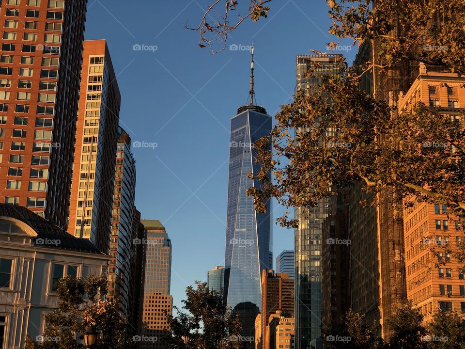 World Trade Center 