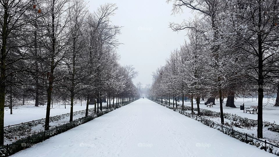 Winter landscape in Poland