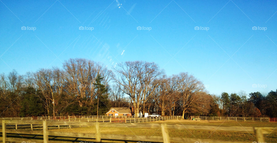 Tree, Landscape, Fall, Wood, No Person