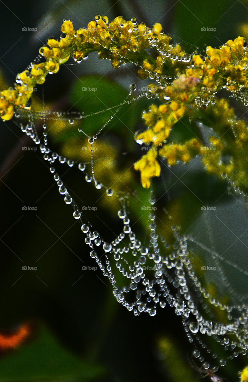 Water, Water, everywhere! I just happen to be fortunate enough to live in a state that has approximately 12,000 square miles of beautiful, refreshing, colorful oceans, rivers, lakes, ponds and swamps!