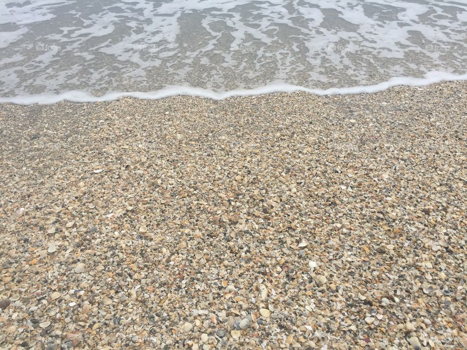 Seeing seashells by the seashore 