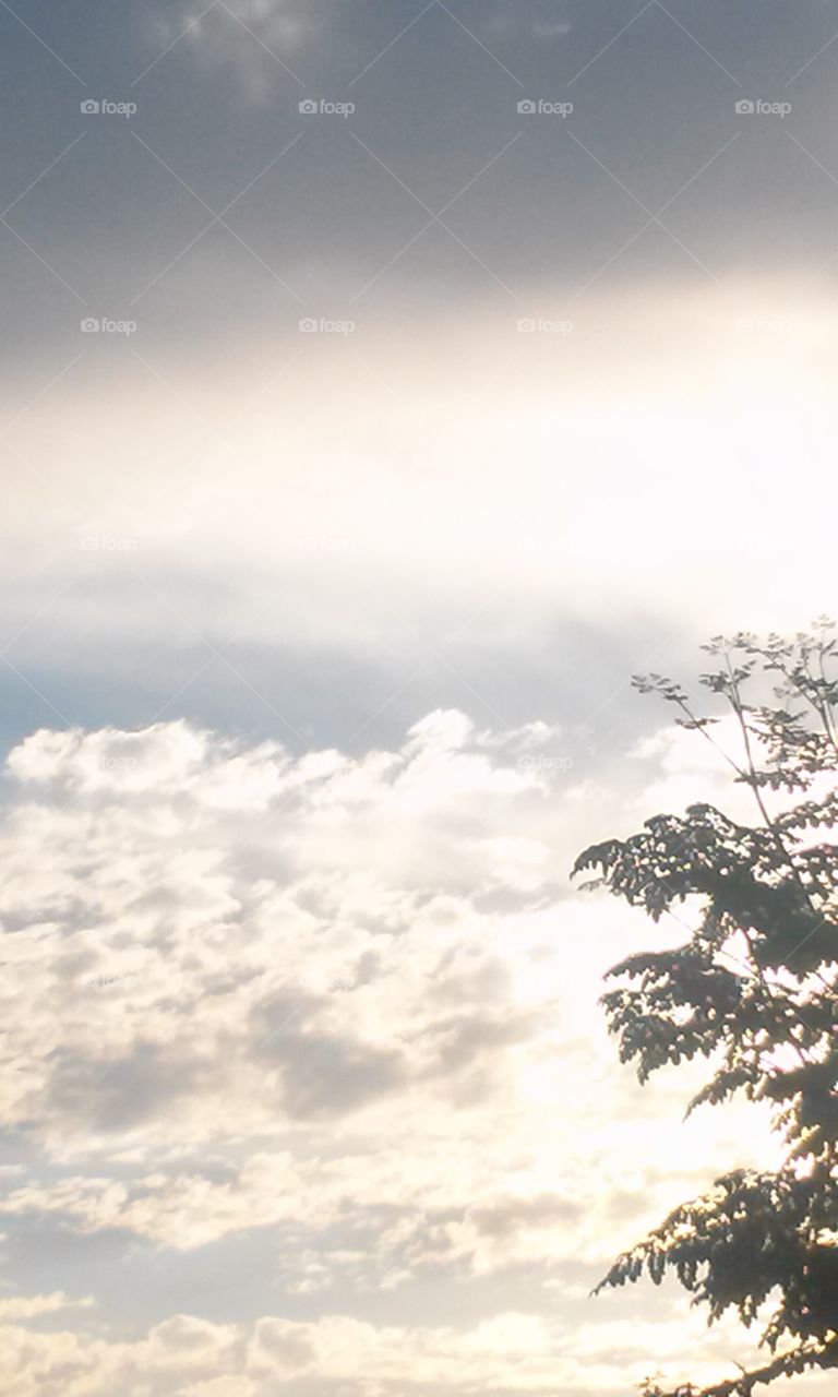 Way Upon the Clouds
Way Upon the Clouds
Is a Mystery to most of us
Except those of us
Who are with NASA Space
Who else but God , can go
Beyond such a space ?
When most of us were younger
We thought of clouds
Like big ol' cotton balls
Or White Cotton Candy
Or Fluffy White Snowy Lambies.
Either way, I know I always
Have enjoyed looking up
At the fluffy, white, Cotton
Looking Fluff.
Either way, down or up
There is always a site
To be hold , that is called
God's Arrangement
Of His Glorious Love.