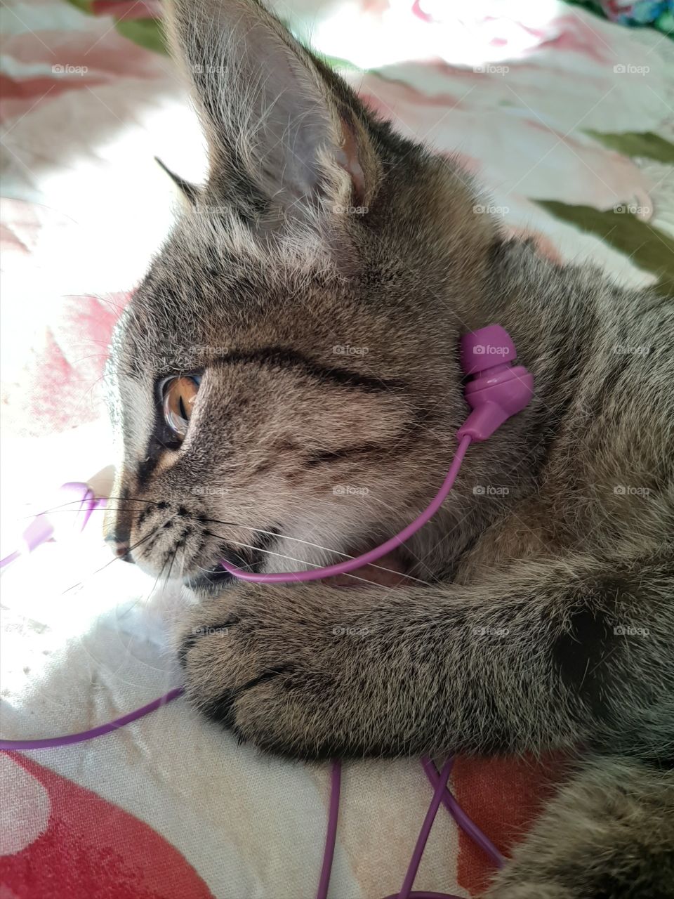 Хочется   попробовать