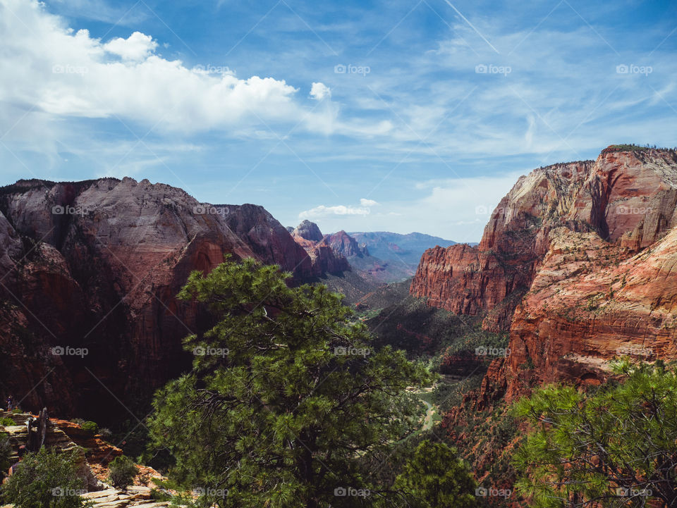 angel's landing in Zion national park