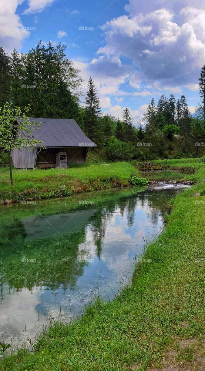 Cabin in the middle of nature