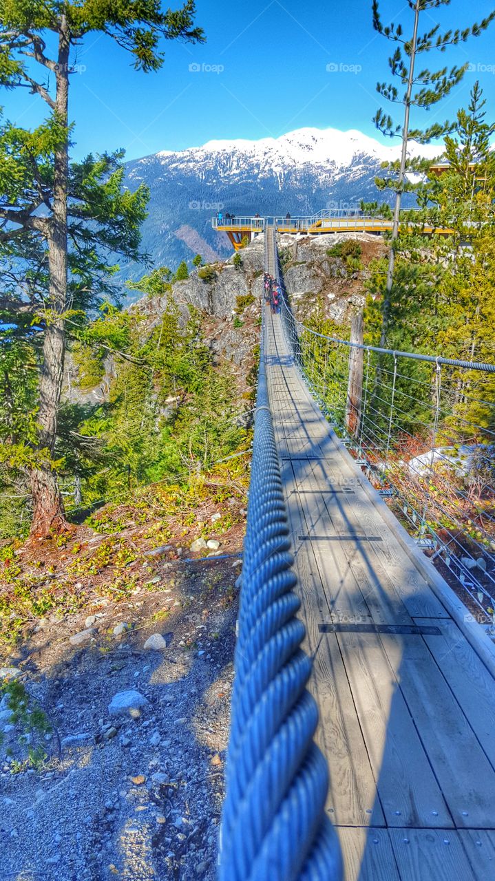 Swinging Bridge by the mountains tops