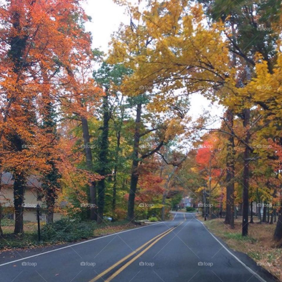 Commuting Viewpoints