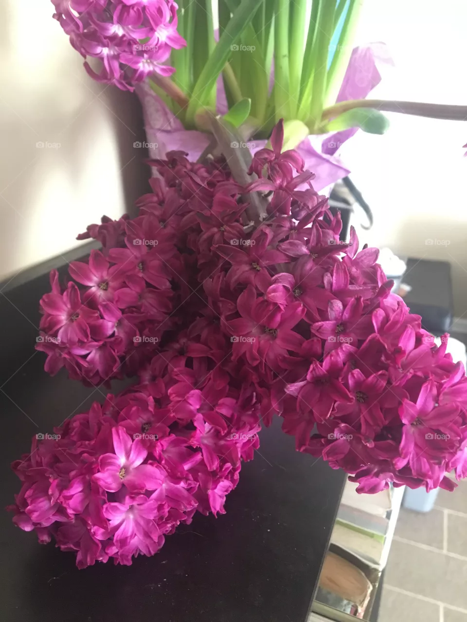 Hyacinth