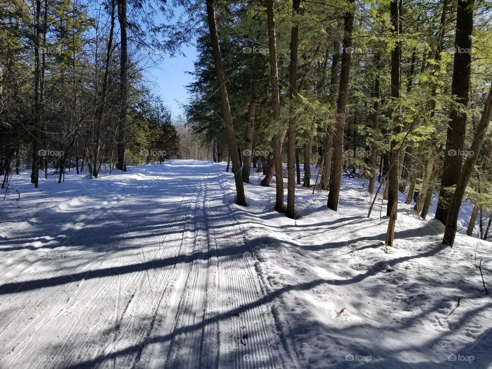 Ski trail in the wooden area