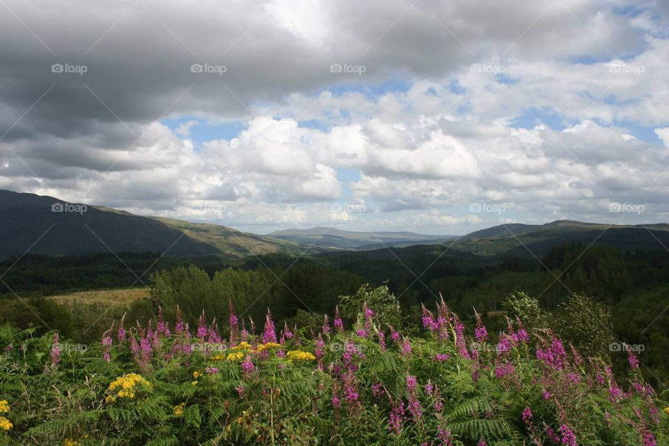 Scottish highland scenery 