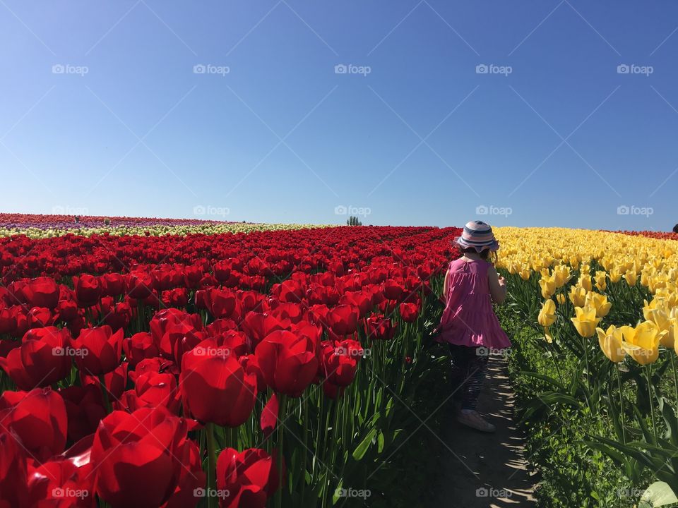 Tulip girl