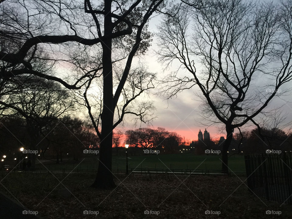 Central Park at sunset