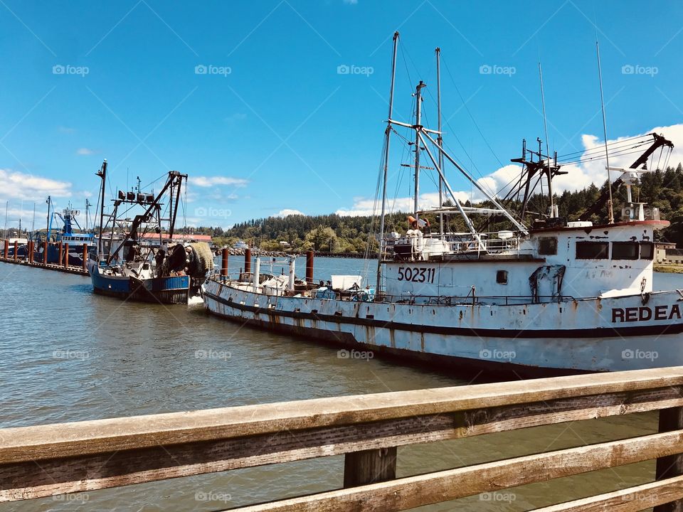 Gorgeous photos taken in the beautiful Pacific Northwest area in Washington and Oregon! 