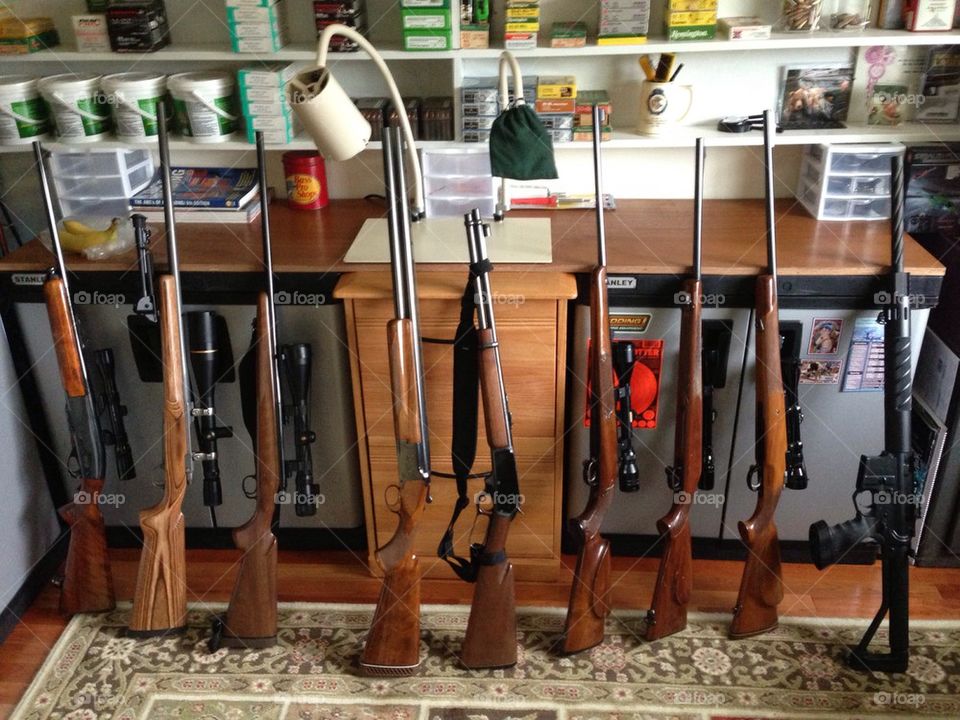 Gun collection