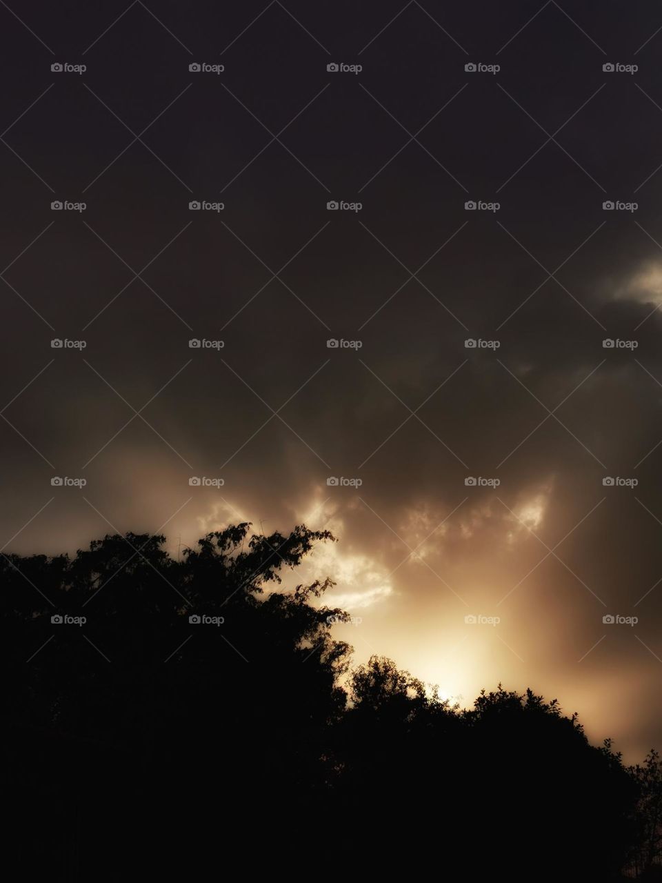 Sunshine clouds tree