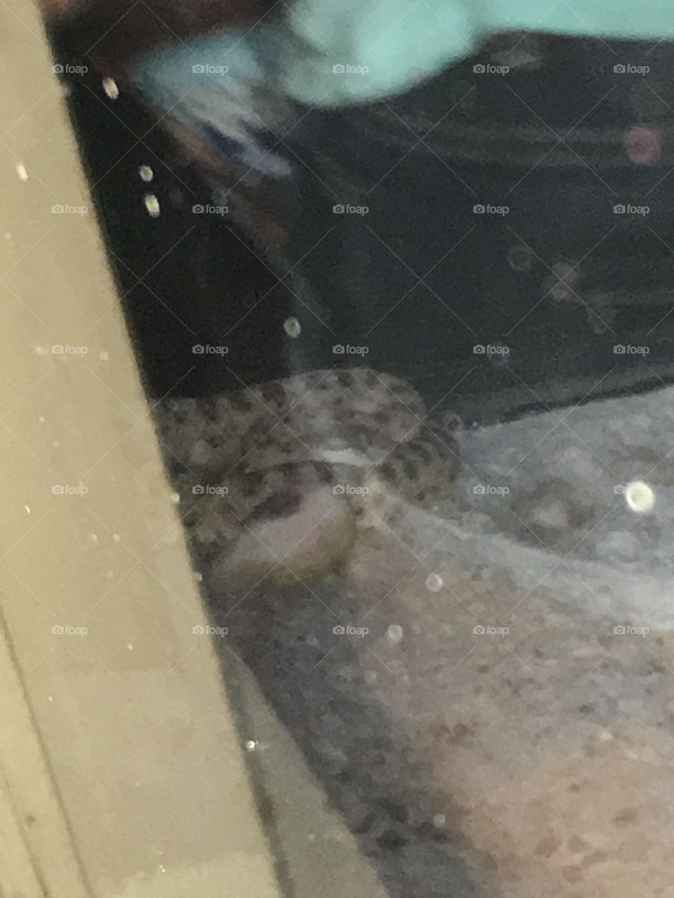 Rain, Storm, Snow, Weather, Cold