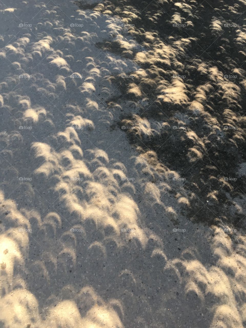 partial eclipse 2017
langley BC canada 