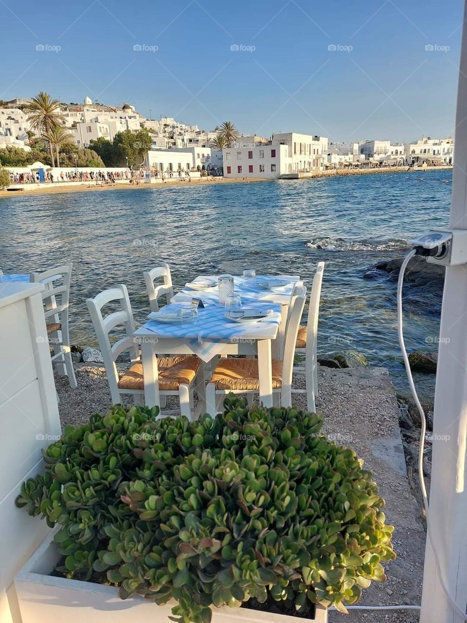 Battle: summer vs spring mission