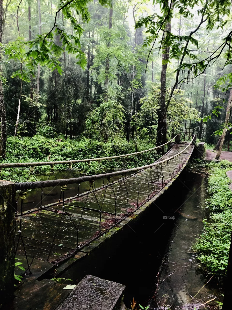 Bridge 