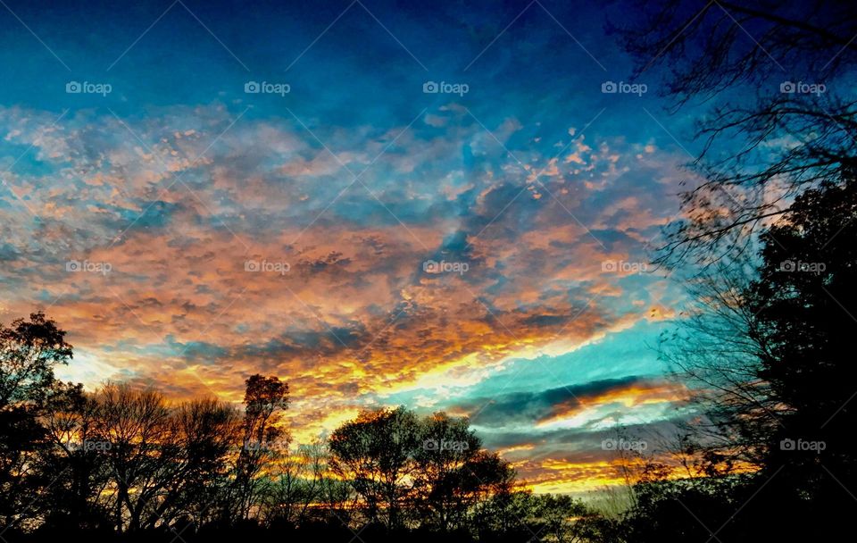 Sunsets & Sunrises. Sky at sunset over the treetops. Clouds are magnificent!