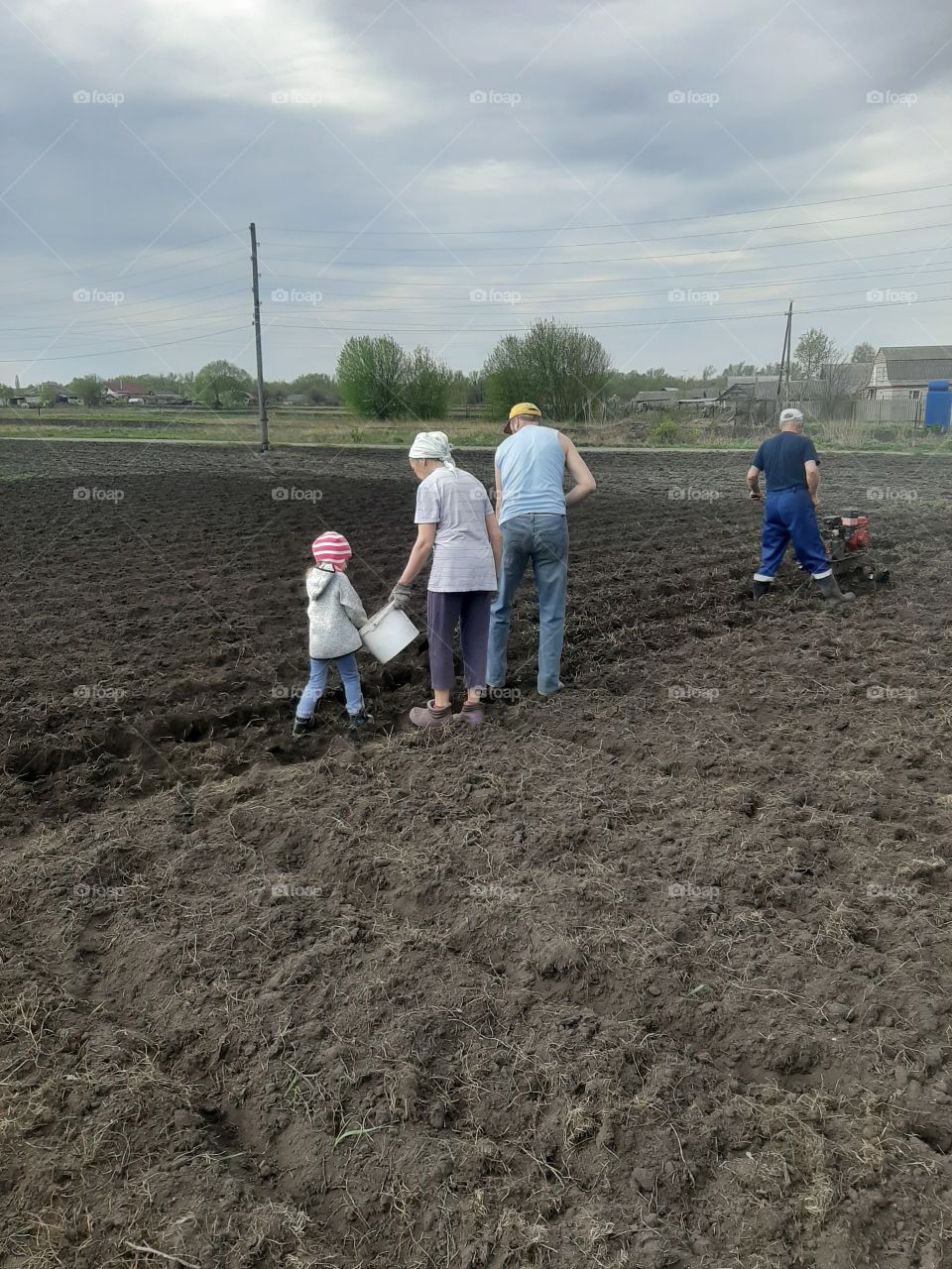 People plant potatoes