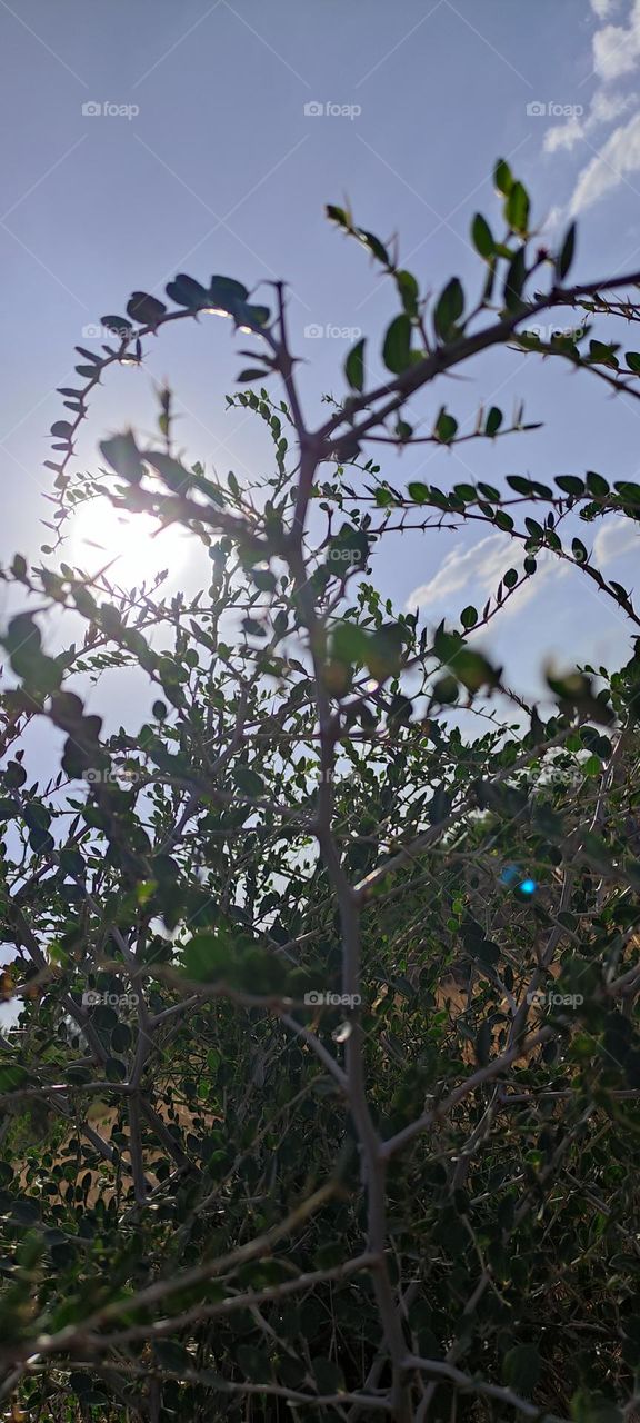 Sun from a closed angle