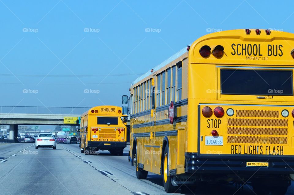 Scoop buses