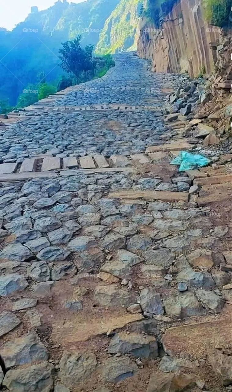 A very beautiful picture, and there is no better picture than it. There is no better picture of green herbs and colorful, red and white roses than it. Glory be to God, the natural and picturesque view, and there is no more