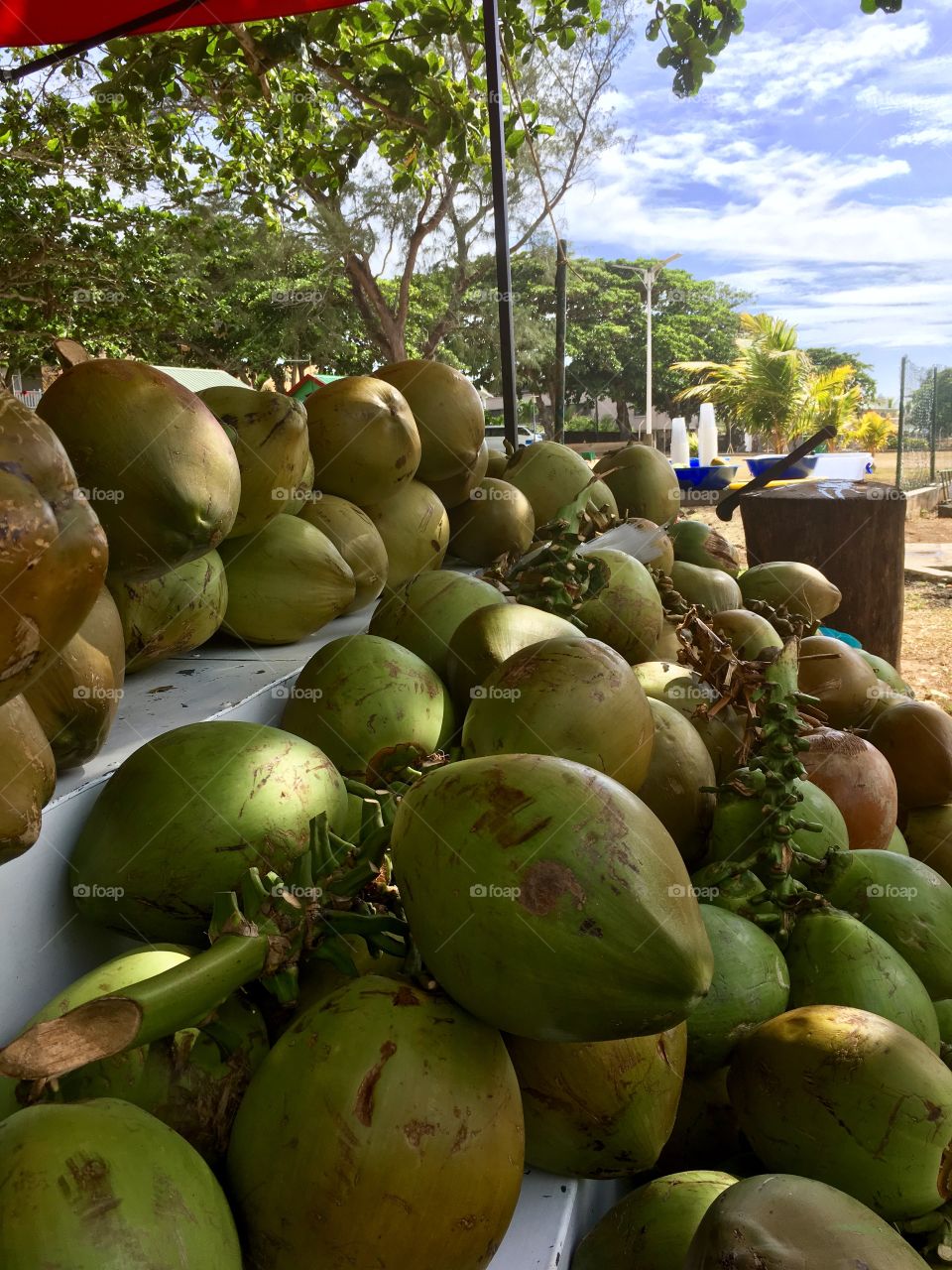 Coconuts galore in Mauritius.