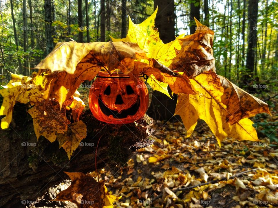 Glass candle holder Halloween with leaves