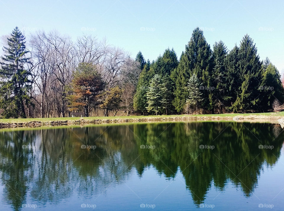 reflections . nature walk 