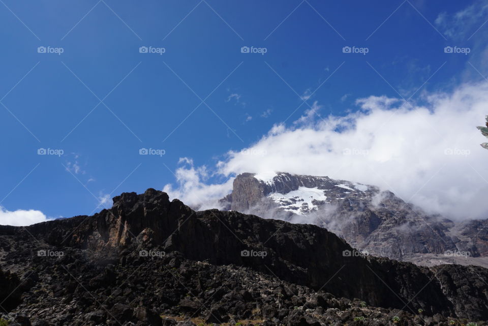 Kilimanjaro 