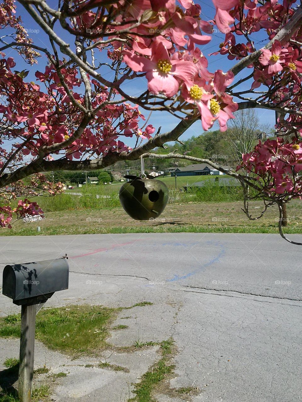 Birdhouse Mailbox Pink Dogwood 