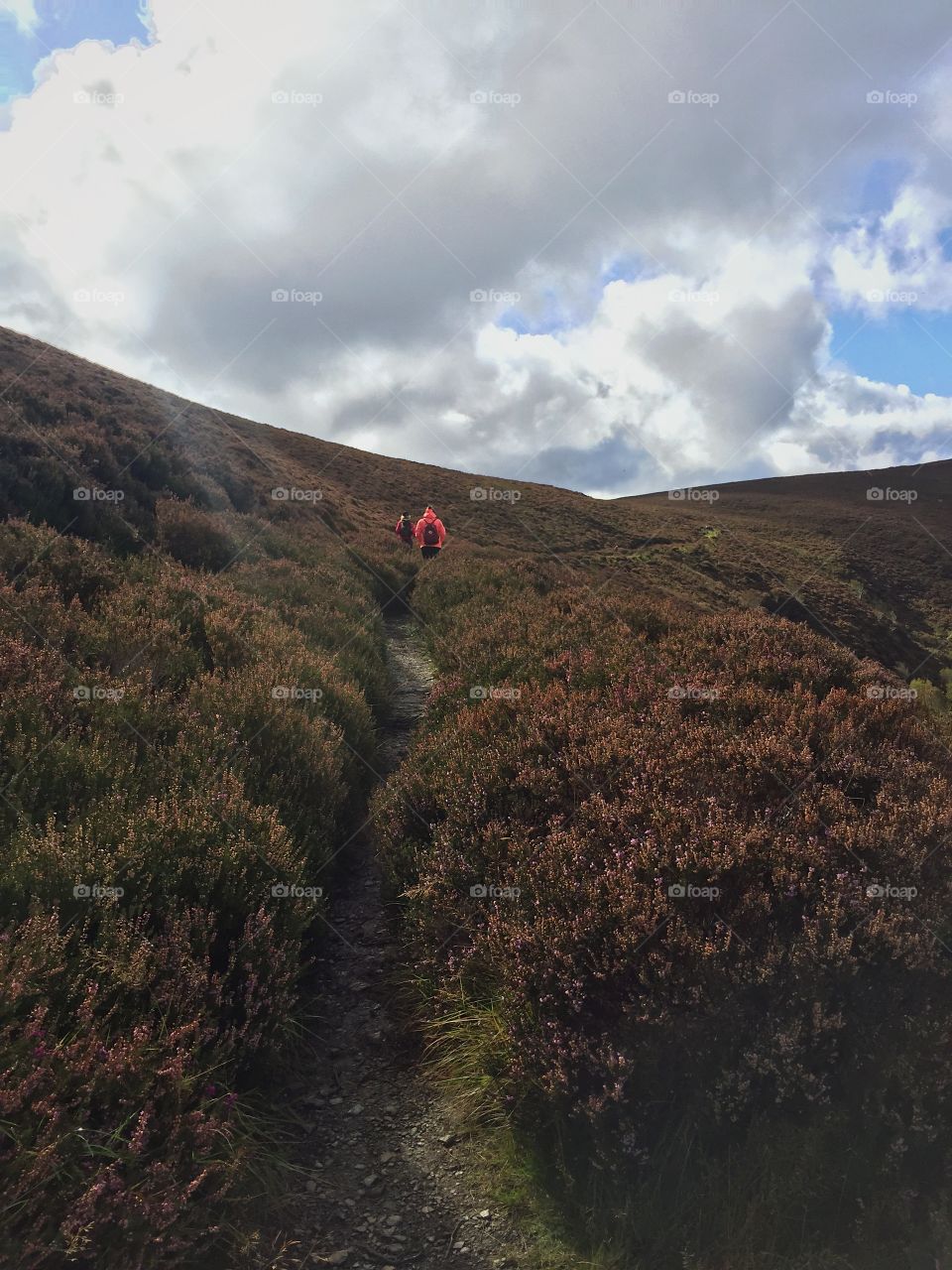 Landscape, Mountain, No Person, Travel, Outdoors