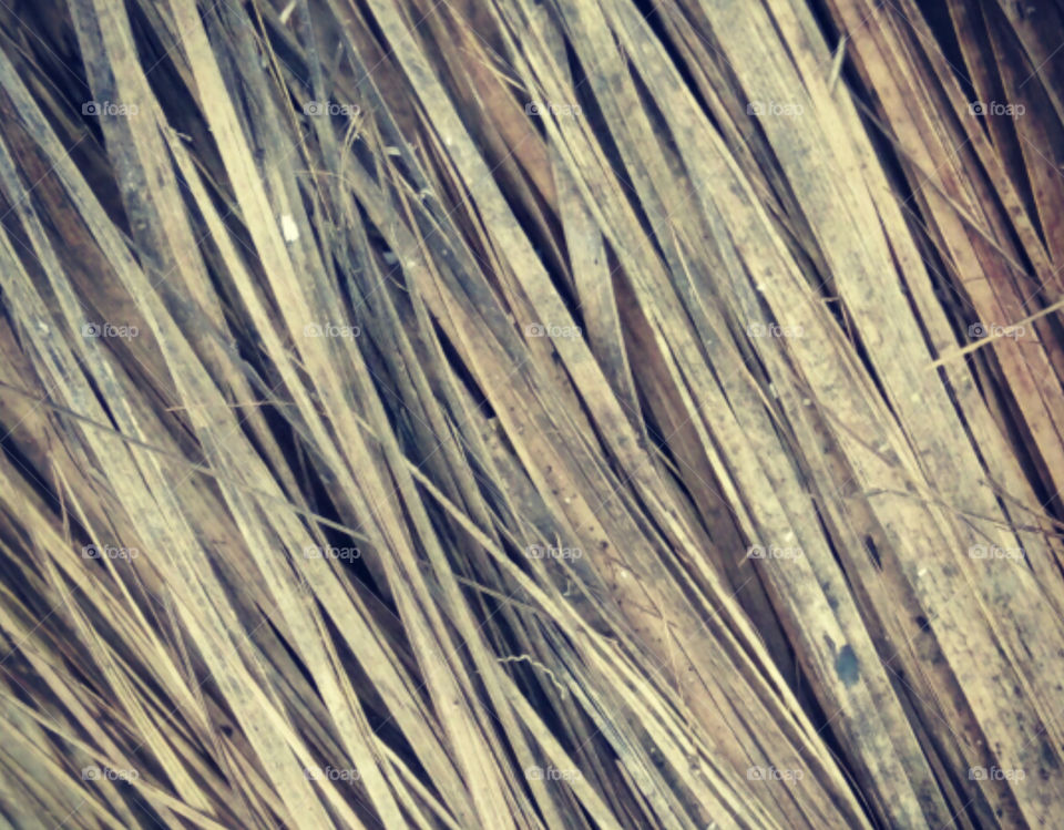 texture photo,real new texture photo,one background texture photo,real and natural texture photo,background texture a one colour photo,indian texture photo,good one photo of background texture,unique style taxture photo