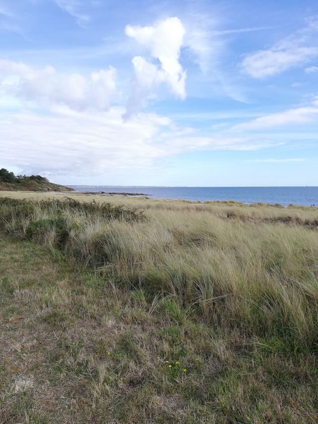 Herbe et Plage