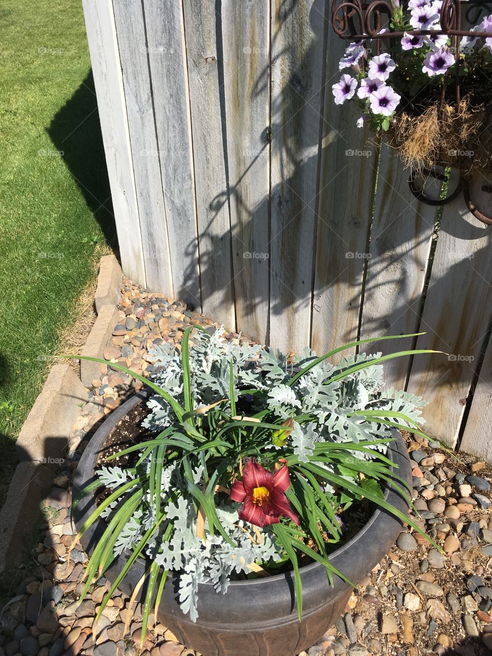 Flowers in a flower planter. 