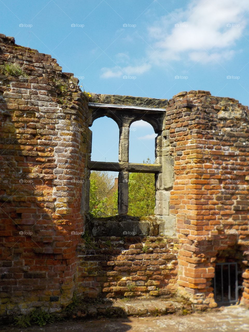 Window of old castle 🇬🇧