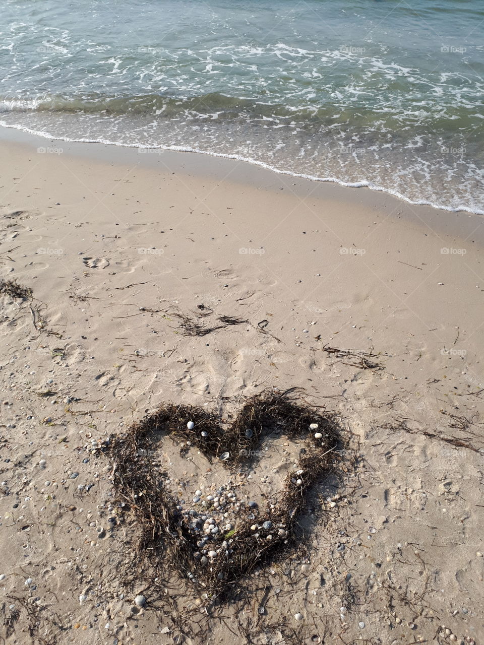 Seaweed heart at the beach.  Romantic flatlay. Card