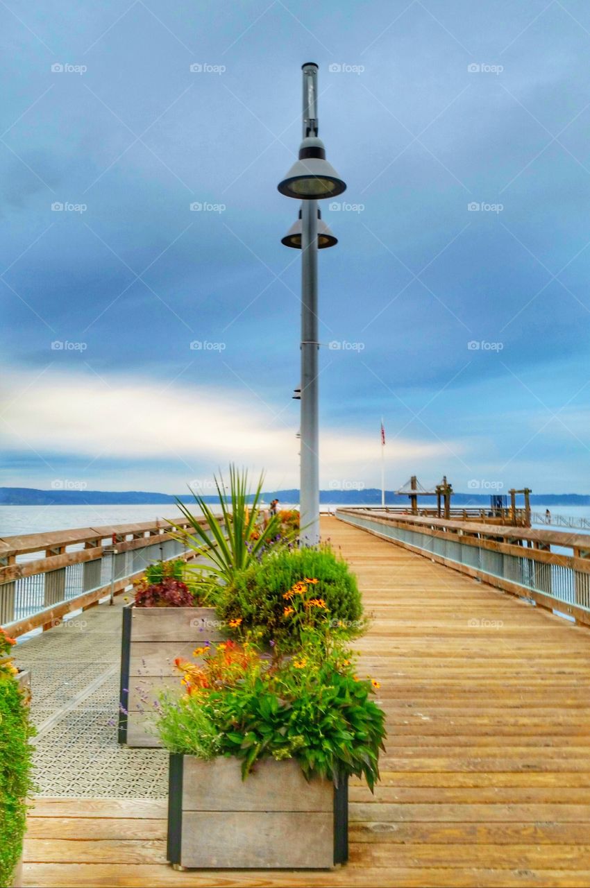 On the Pier