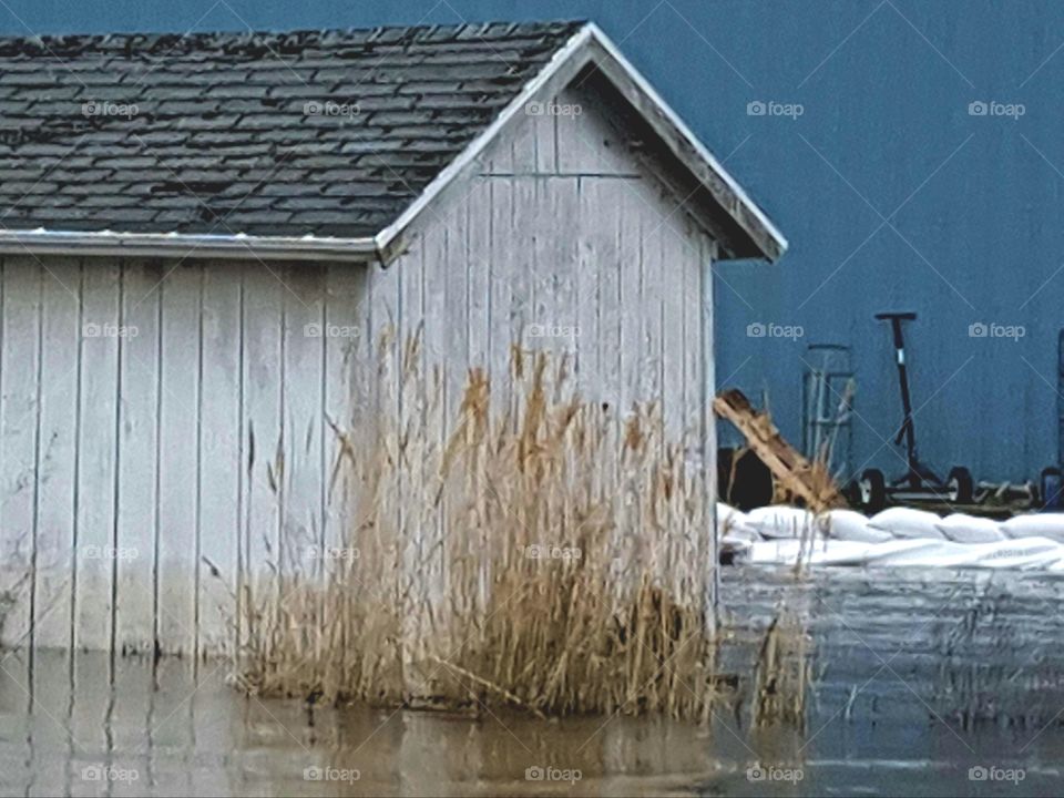 Shed Flooded