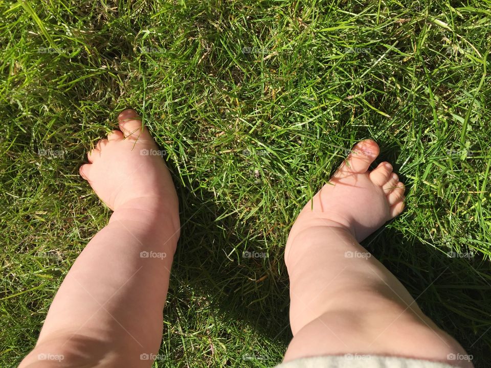 Small baby feet on the green grass