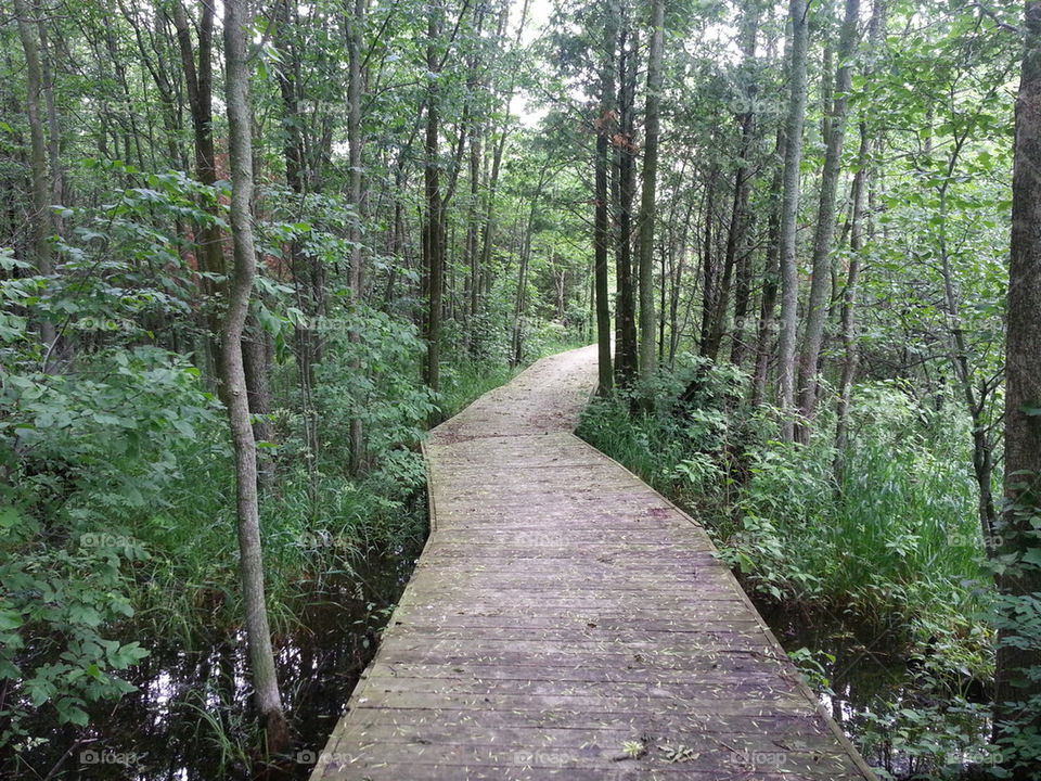 boardwalk peaceful path