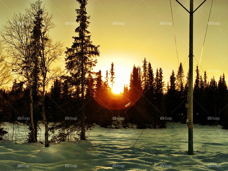 Sunset in snowy landscape 